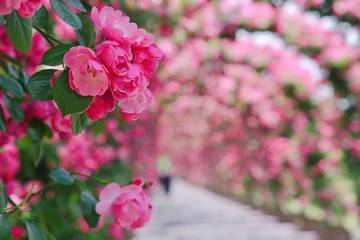 20220516215554front2_0_2854392_Fr7gH5MG9Z7LwtYW2iDJuA6joqoP.jpg